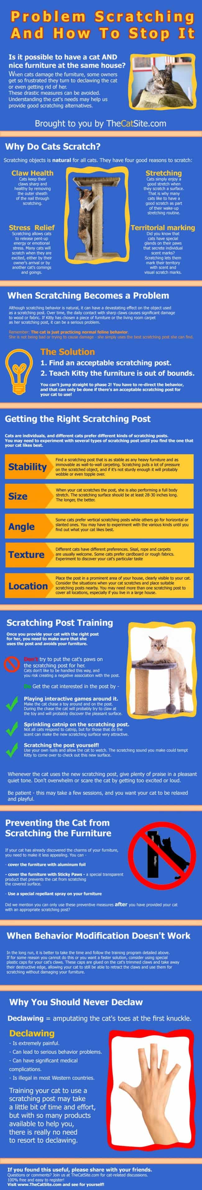 cats-problem-scratching-and-how-to-stop-it_52ca6c7f12b39_w1500