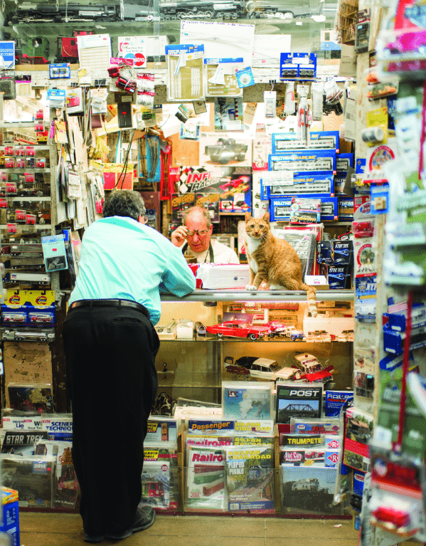 Shop Cats of New York