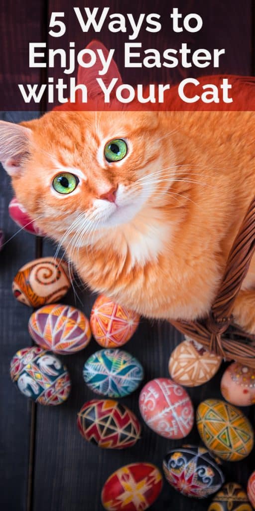 5 ways to enjoy Easter with your cat