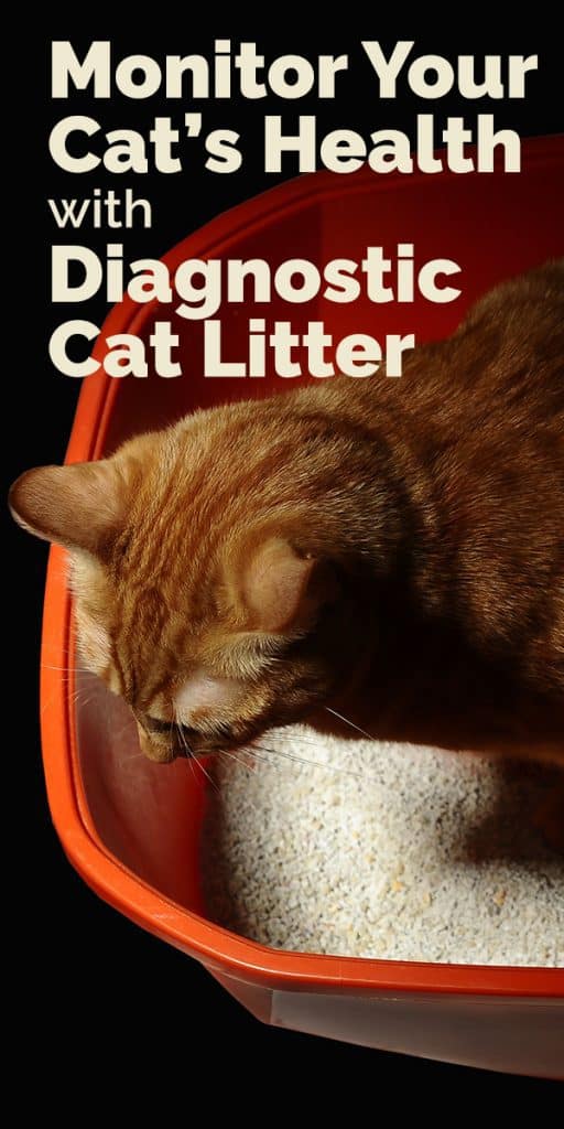 diagnostic cat litter