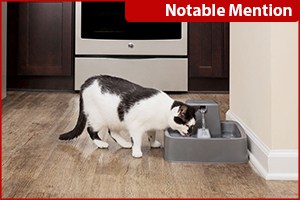 best water fountains for cats, petsafe drinkwell fountain