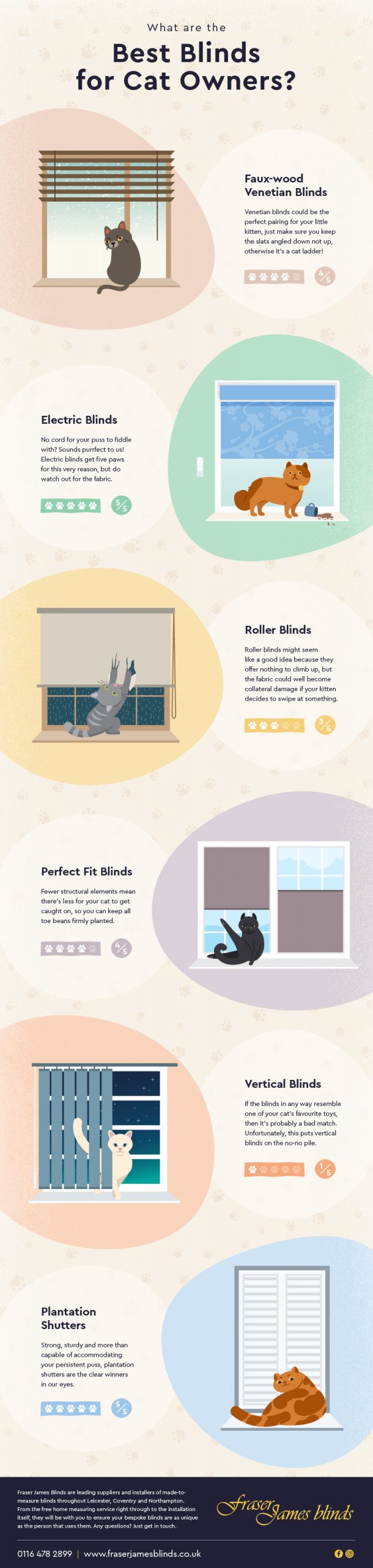 infographic best blinds for cats