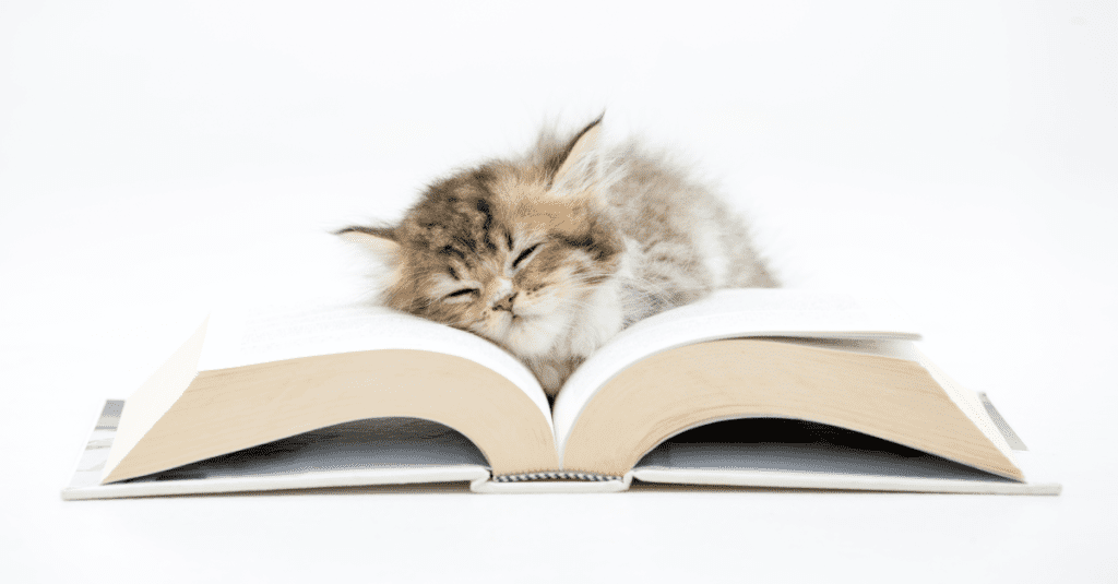 cat books 