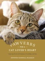 pawverbs for a cat lover's heart, inspiring book for cat lovers