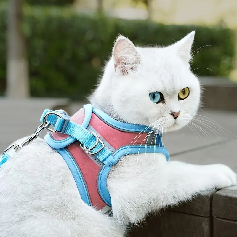 cat harness on Temu