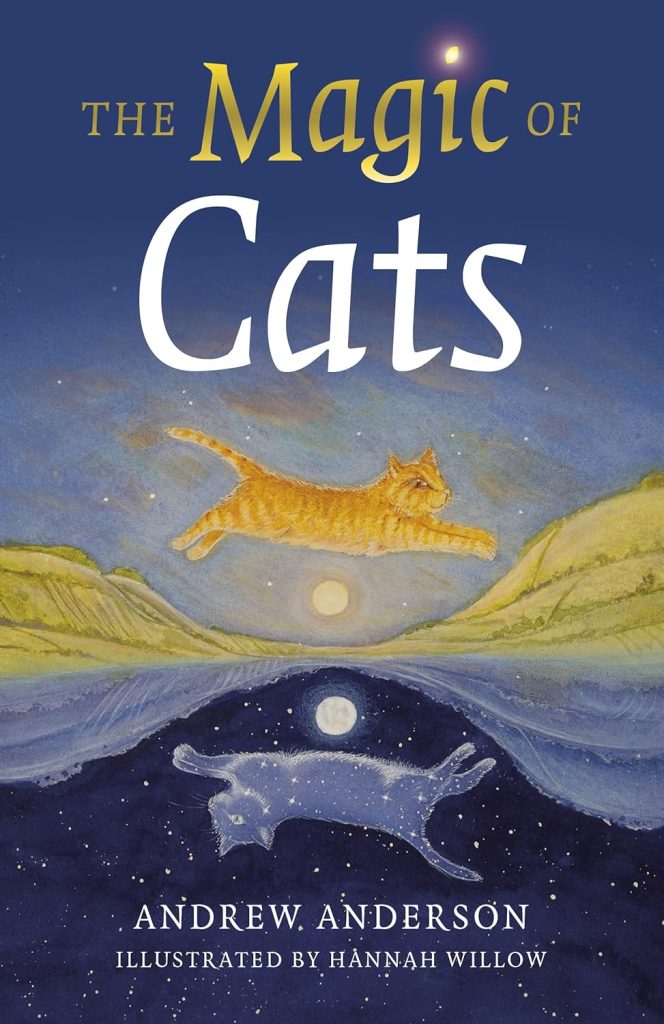 New release cat books magic